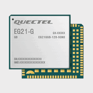 EG21GGB-128-SGNS