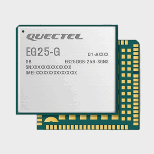 EG25GGB-256-SGNS