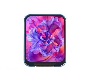1.69 Inch LCD Display