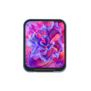 1.69 inch display